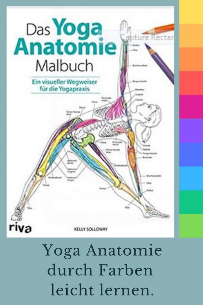 durch Farben Yoga-Anatomie leicht lernen.  Buch bei Amazonb.de zu erwerben